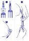 Avent Niplette scf152/02 parapharmacie marrakech targa Maman Bébé Puericulture