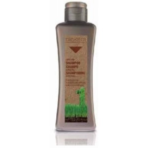 Biokera shampooing argan 300ml parapharmacie marrakech en ligne Cheveux Cheveux Secs