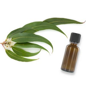 RACINE VITA Huile essentielle d'eucalyptus 10 ml parapharmacie marrakech en ligne Bio – Phytoterapie Huiles essentielles - Aromatherapie